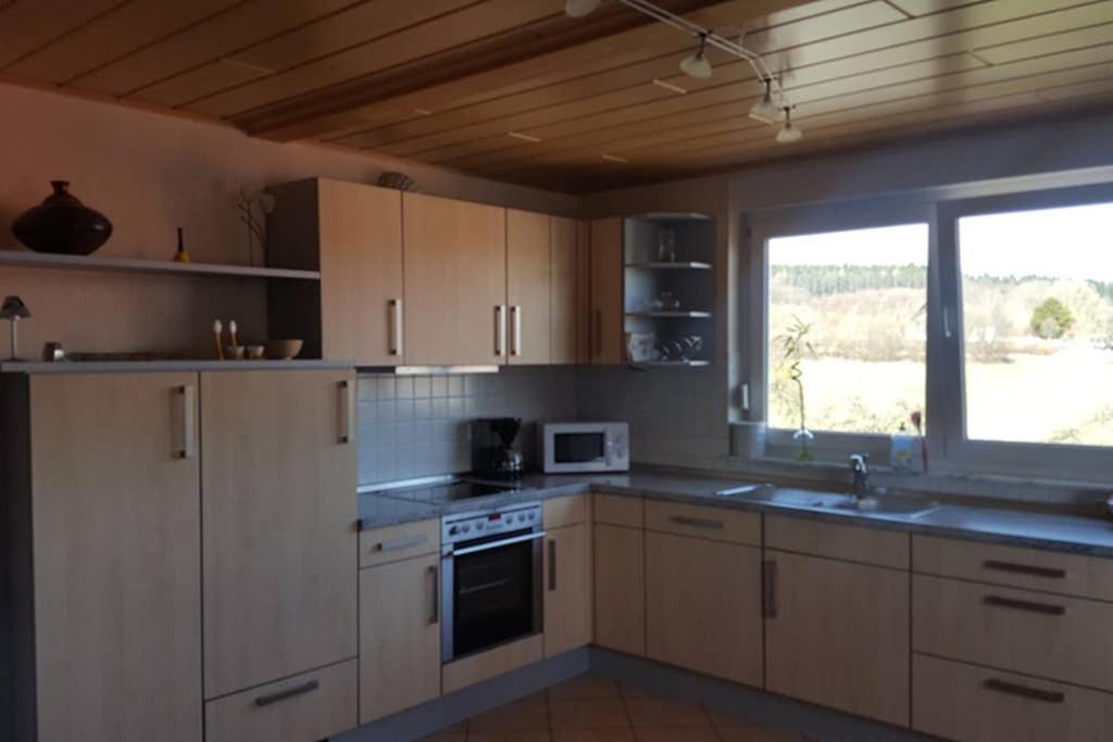 Anna - neue Ferienwohnung mit Blick ins Grüne Ober-Abtsteinach Exterior foto